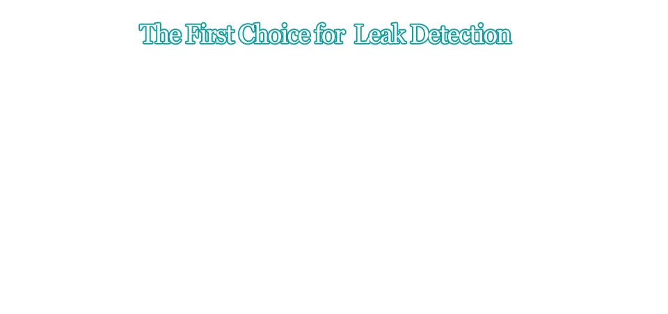 The First Choice for Leak Detection