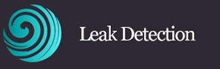 Leak Detection 